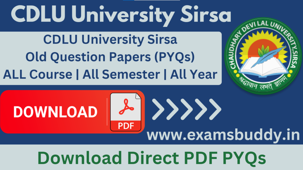 CDLU University Sirsa Old Question Papers CDLU Previous Year Question Papers