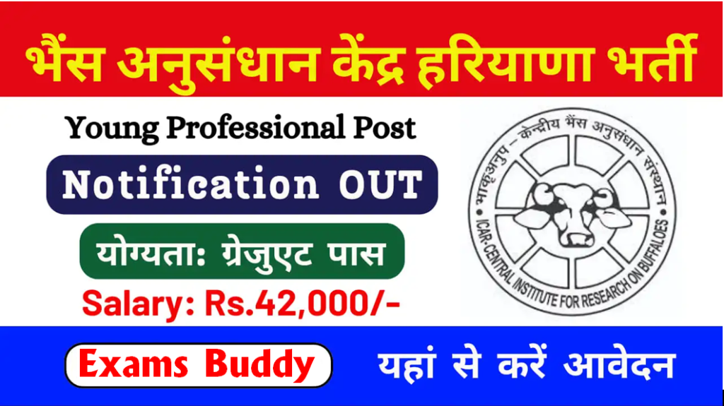 Hisar CIRB Young Professional Vacancy Offline Form 2024